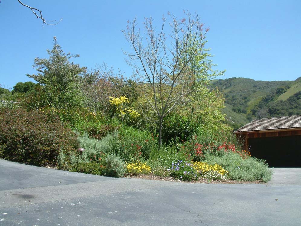 Carmel Valley Hacienda