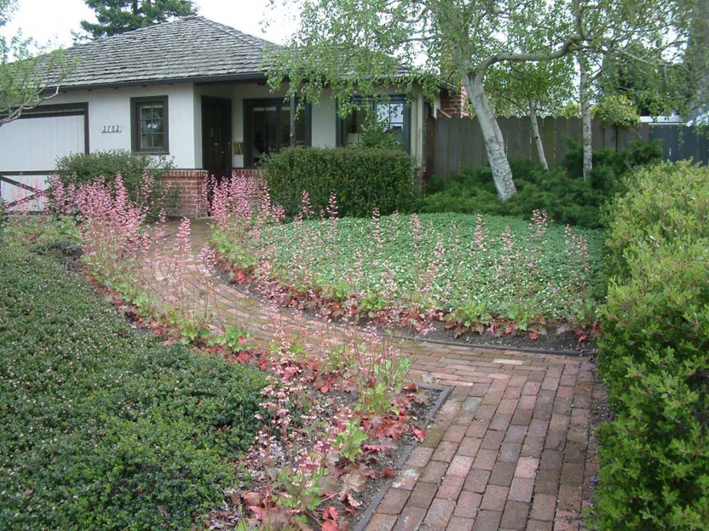 Border of Pink