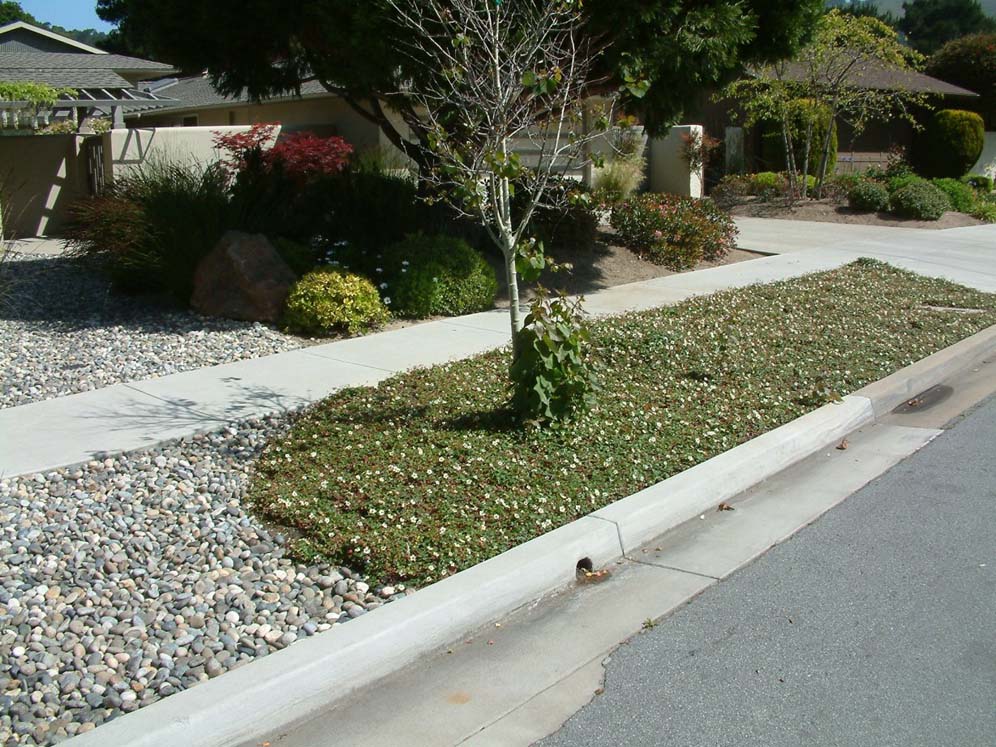 Low Mounding Parkway