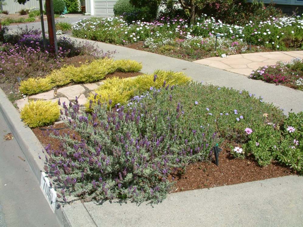 Colors Next to the Curb