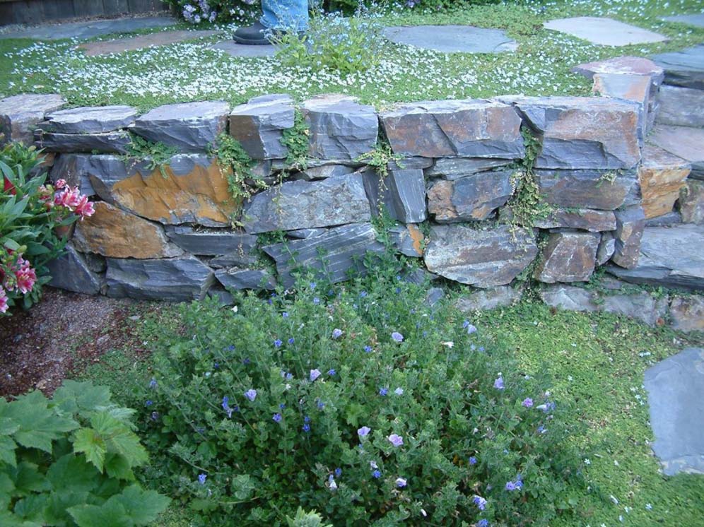 Short Low Wall