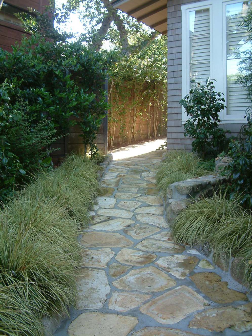 Grass-lined Path