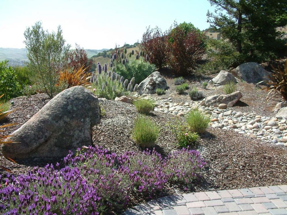 Rock Specimens in the Landscape