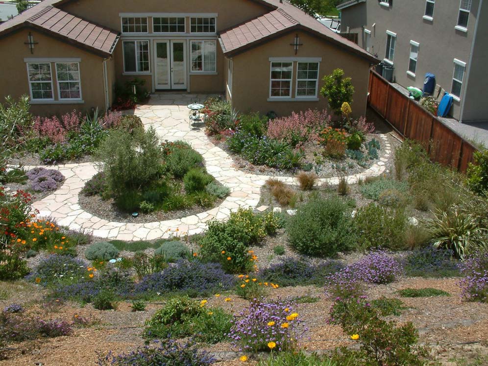 Hillside Overlooks Circles of Color