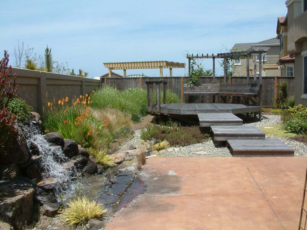 Long View of Back Yard