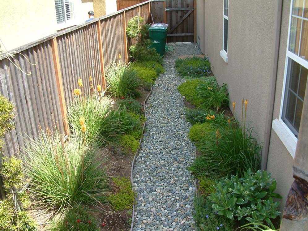 Peaceful Path