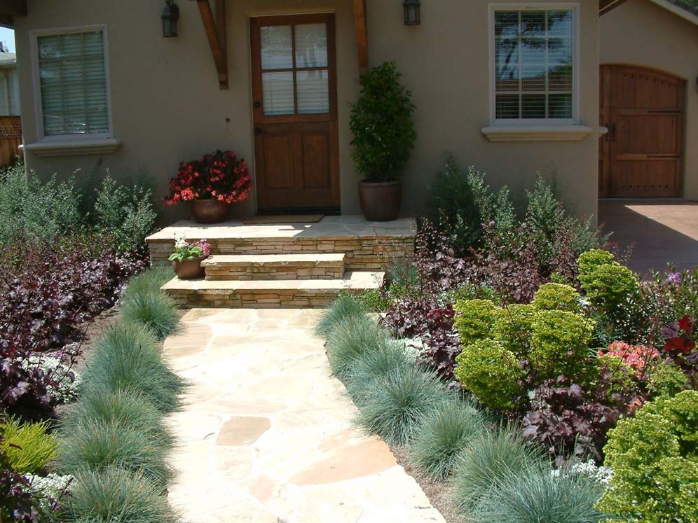 Entry Lined by Small Grasses