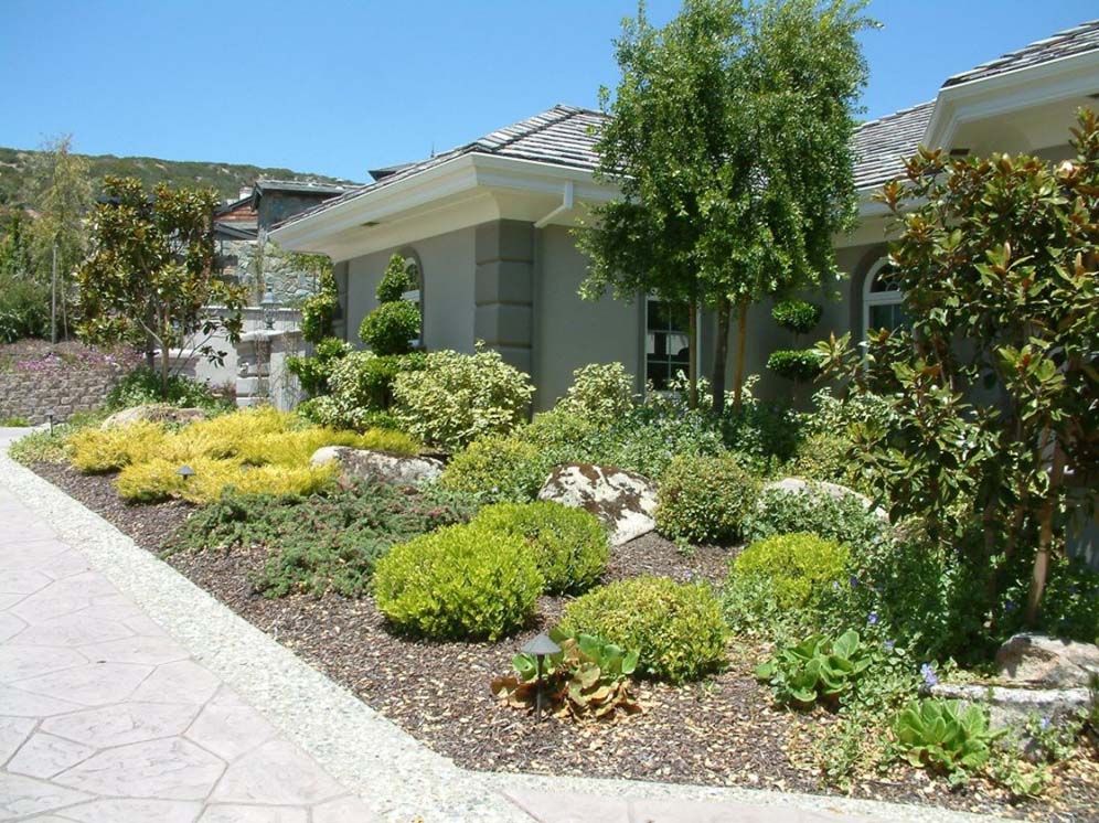 Low Growing Mounds and Trees