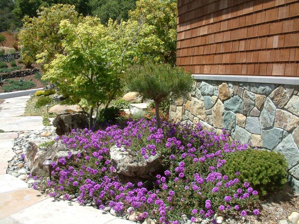 Shrub Borders