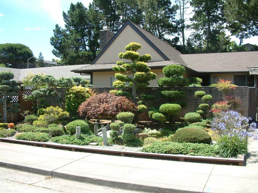 Formal Look Front Yard